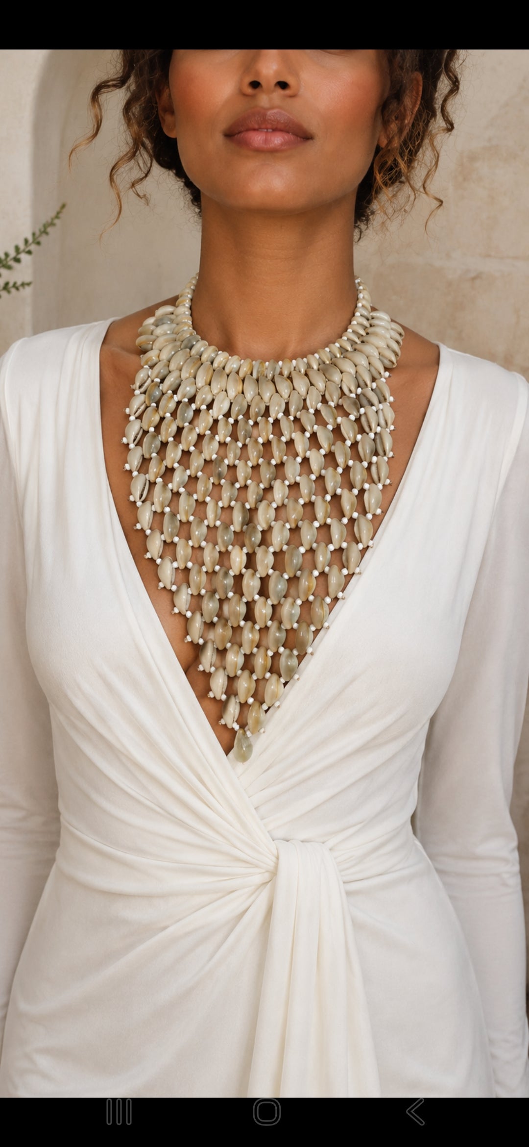Plastron cauri