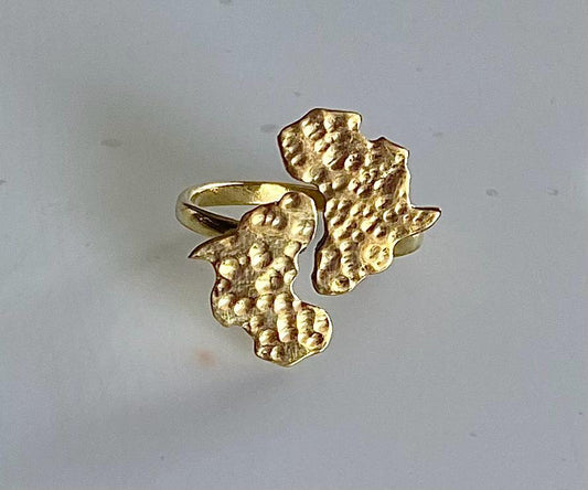 Bague  Kone Double Carte d’Afrique – Fierté et héritage